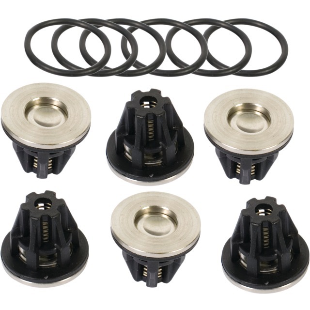 KIT Clapets 505 / 545 (KIT505) (KIT545) référence fournisseur 231335